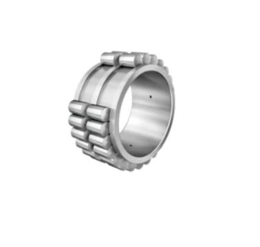 RSL40x61,74x28-XL-RV-silindriline rull-laager